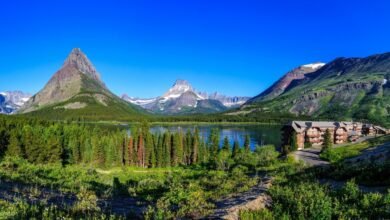 Best Tour Companies for US National Parks