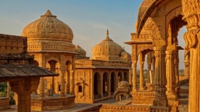 Best Escorted Tours of India