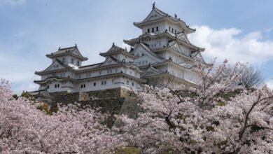 Japan Tours for Young Travelers