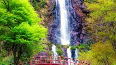 Japan Tour Packages With Airfare